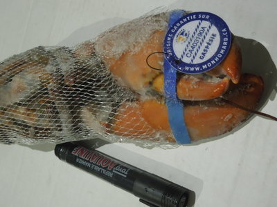 加拿大波士頓龍蝦2014年新貨 原裝進(jìn)口增重，工廠直供餐飲批發(fā)