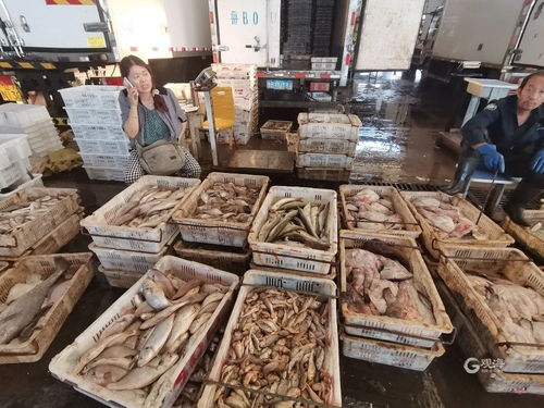 青島海鮮自由季 梭子蟹價格“跳水”，日用百貨銷售升溫