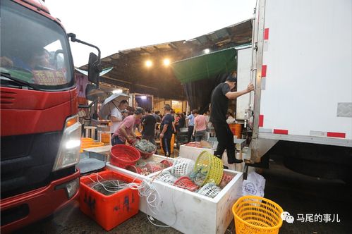 普惠金融推進月 活水涌向水產與百貨，農批貸精準紓困解難題