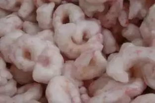 選水產品，究竟是活鮮好還是凍鮮好？——從食品安全與日常烹飪角度探討